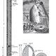 Illustration for article titled How Jules Verne Invented Astronautics